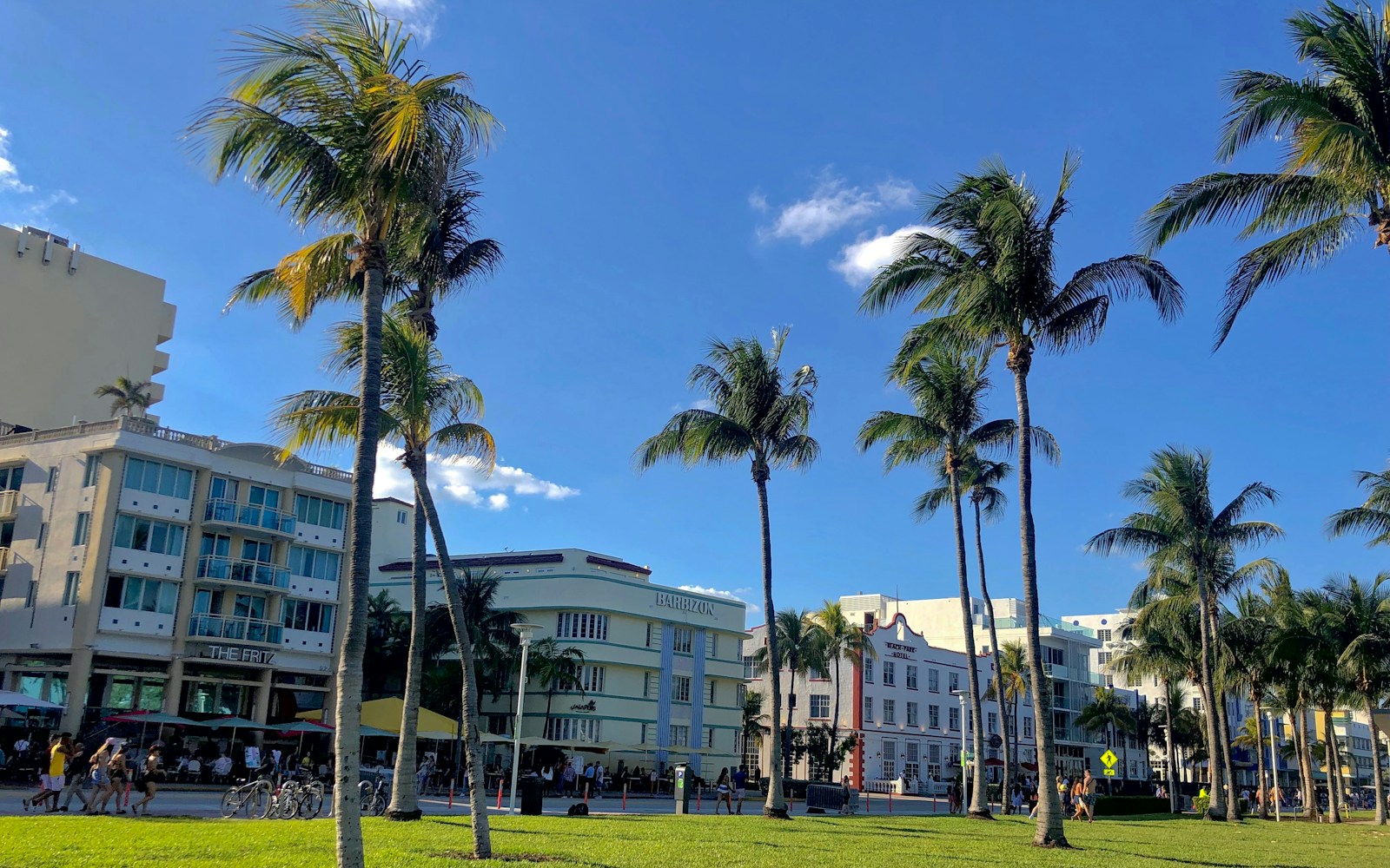 white concrete building near palm trees during daytime